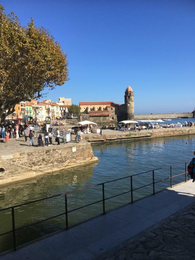 Studio Avec Parking Et Exterieur A 2 Min De La Plage Argelès-sur-Mer Exteriör bild