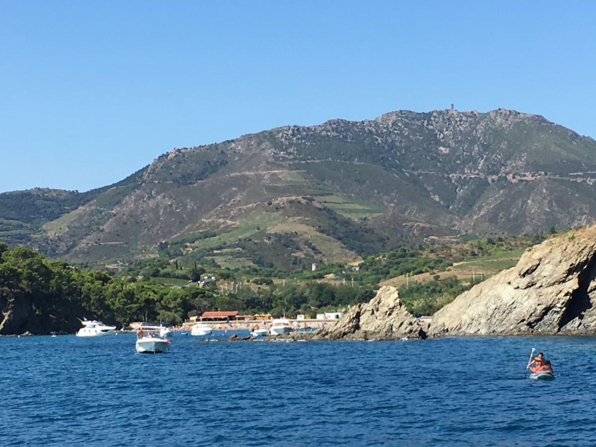 Studio Avec Parking Et Exterieur A 2 Min De La Plage Argelès-sur-Mer Exteriör bild